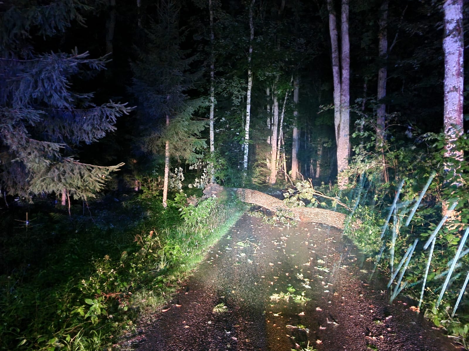 Einsatz Sturmschaden am 25.08.2023