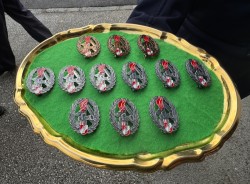 Erfolgreiche Absolvierung des Branddienstleistungsabzeichens